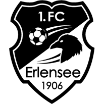 https://img.ztkyshgs.com/img/football/team/a23904e7205f9324e45c7fef24a620fd.png